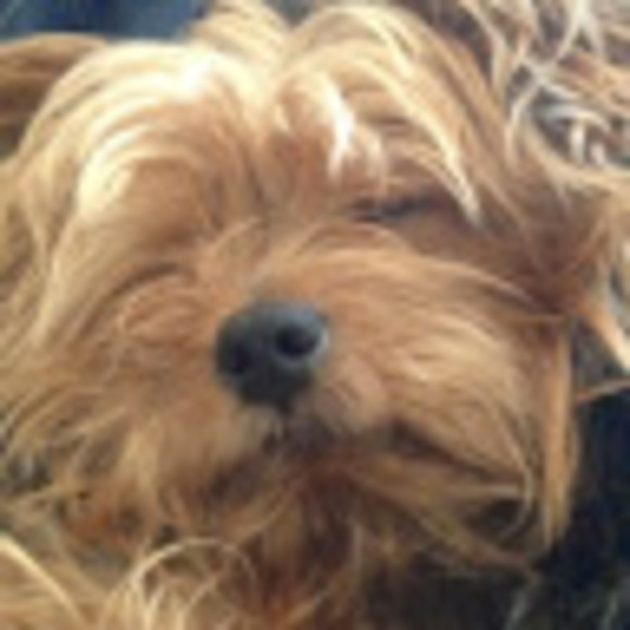 Meet your Posher, Valerie - Picture 1 of 1